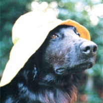 Photo of crewmember
